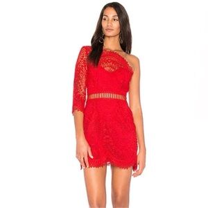 Saylor Pippa One Shoulder Lace Dress